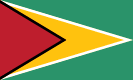 Guyana zászlaja