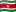 Suriname zászlaja