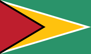 Guyana zászlaja