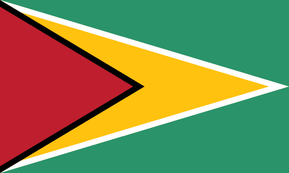 Guyana zászlaja