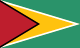 Guyana zászlaja